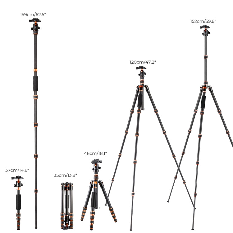 K&F CONCEPT KF09.077V3 Portable Carbon Fiber Camera Tripod Eurekaonline