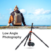 K&F CONCEPT KF09.083V1 Camera Tripod Professional Portable Travel Alloy 5-Sections Tripod Stand Eurekaonline