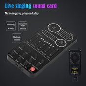 K9 Set Voice Changer Game Live Broadcast Mobile Computer Sound Card Eurekaonline