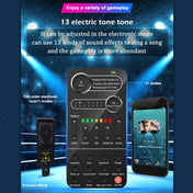 K9 Set Voice Changer Game Live Broadcast Mobile Computer Sound Card Eurekaonline