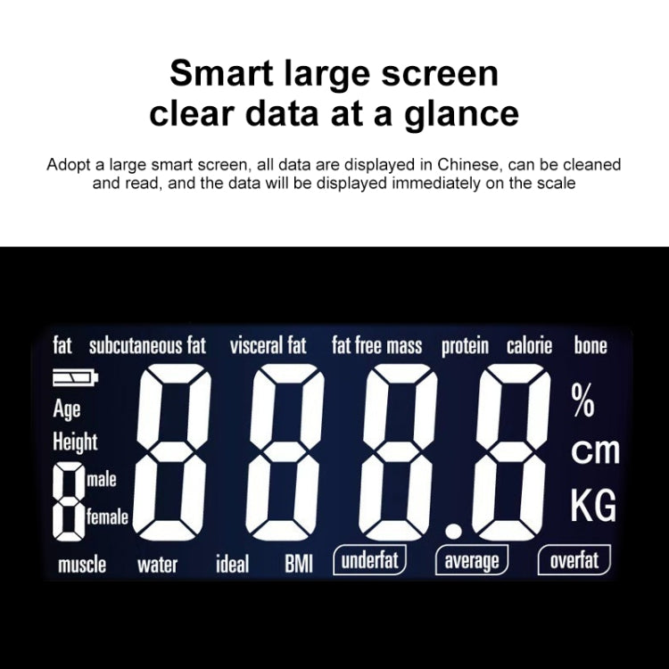 Ideal Protein Digital Scale