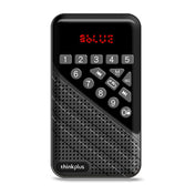 Lenovo R5 Bluetooth 5.0 Multi-function Mini Bluetooth Speaker Radio(Black) Eurekaonline