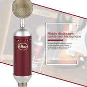 Logitech Blue Spark SL Network K Song Anchor Equipment Condenser Recording Microphone Eurekaonline