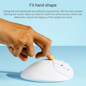 Logitech ERGO M575 Creative Wireless Trackball Mouse (White) Eurekaonline