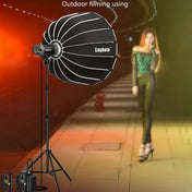 Lophoto LP-200 200W Continuous Light LED Studio Video Fill Light(US Plug) Eurekaonline