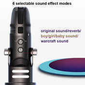 M9 RGB Condenser Microphone Built-in Sound Card,Style: Computer Version Eurekaonline