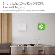 NEO NAS-SC01W Wireless WiFi EU Smart Light Control Switch 1Gang Eurekaonline