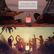 NILLKIN MC3 PRO Portable Wireless Bluetooth V4.2 Bottle Speaker with 3600mAh Power Bank & Colorful LED Light Eurekaonline