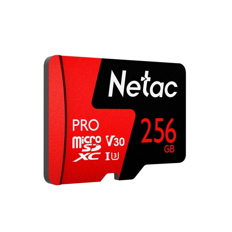 Netac P500 PRO 256GB U3 Speed Level Automobile Data Recorder Monitor Camera Memory Card TF Card Eurekaonline