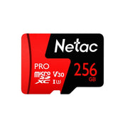 Netac P500 PRO 256GB U3 Speed Level Automobile Data Recorder Monitor Camera Memory Card TF Card Eurekaonline