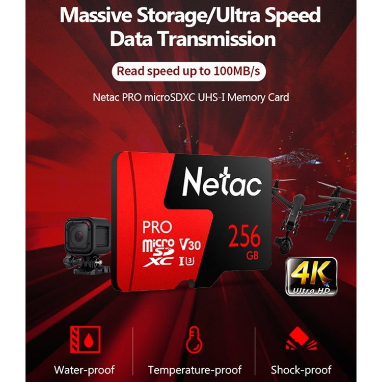 Netac P500 PRO 256GB U3 Speed Level Automobile Data Recorder Monitor Camera Memory Card TF Card Eurekaonline