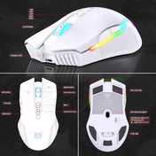 ONIKUMA CW905 2.4G RGB Lighting Wireless Mouse (Grey White) Eurekaonline