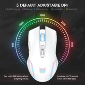 ONIKUMA CW905 2.4G RGB Lighting Wireless Mouse (Grey White) Eurekaonline