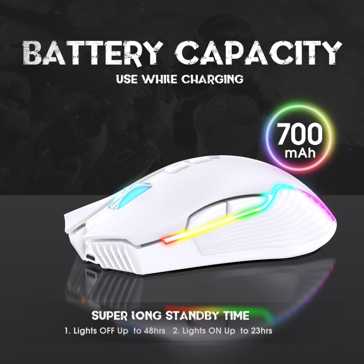 ONIKUMA CW905 2.4G RGB Lighting Wireless Mouse (Grey White) Eurekaonline