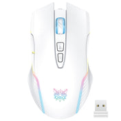 ONIKUMA CW905 2.4G RGB Lighting Wireless Mouse (Grey White) Eurekaonline