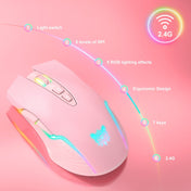 ONIKUMA CW905 2.4G RGB Lighting Wireless Mouse(Pink) Eurekaonline