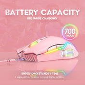 ONIKUMA CW905 2.4G RGB Lighting Wireless Mouse(Pink) Eurekaonline