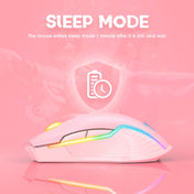ONIKUMA CW905 2.4G RGB Lighting Wireless Mouse(Pink) Eurekaonline