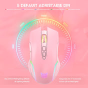 ONIKUMA CW905 2.4G RGB Lighting Wireless Mouse(Pink) Eurekaonline