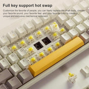 Original Xiaomi Youpin MWMKB01 68 Keys MIIIW ART Series Mechanical Keyboard (Autumn Sun) Eurekaonline