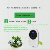 Ozone Disinfection Machine Sterilization Air Purifier Pet Deodorizer Air  Sterilizer For Home(US  Plug) Eurekaonline