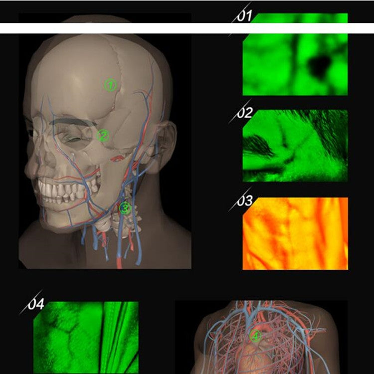 P2-1 Vascular Vein Display Inspection Camera Eurekaonline