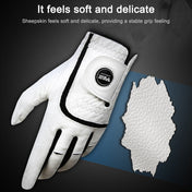 PGM Golf Sheepskin Breathable Non-slip Single Gloves for Men (Color:Left Hand Size:25) Eurekaonline