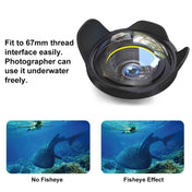PULUZ 0.7X~0.8X Amplification Optical Fisheye Lens Shade Wide Angle Dome Port Lens for Underwater Housings (67mm Round Adapter) , 60m Underwater Depth Eurekaonline