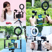 PULUZ 3 in 1 Vlogging Live Broadcast Smartphone Video Rig + Microphone +  4.7 inch 12cm Ring LED Selfie Light Kits with Cold Shoe Tripod Head for iPhone, Galaxy, Huawei, Xiaomi, HTC, LG, Google, and Other Smartphones(Blue) Eurekaonline