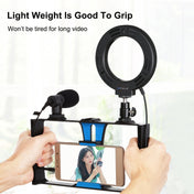 PULUZ 4 in 1 Vlogging Live Broadcast Smartphone Video Rig + 4.7 inch 12cm RGBW Ring LED Selfie Light + Microphone + Pocket Tripod Mount Kits with Cold Shoe Tripod Head(Blue) Eurekaonline