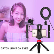 PULUZ 4 in 1 Vlogging Live Broadcast Smartphone Video Rig + 4.7 inch 12cm RGBW Ring LED Selfie Light + Microphone + Pocket Tripod Mount Kits with Cold Shoe Tripod Head(Red) Eurekaonline