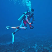 PULUZ 40m Underwater Depth Diving Case Waterproof Camera Housing for Canon EOS-5D Mark III (EF 24-105mm f/4L IS II USM) Eurekaonline