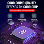 Q66 Heart Pendant Smart HD Noise Reduction Voice Control Recording Pen, Capacity:64GB Eurekaonline