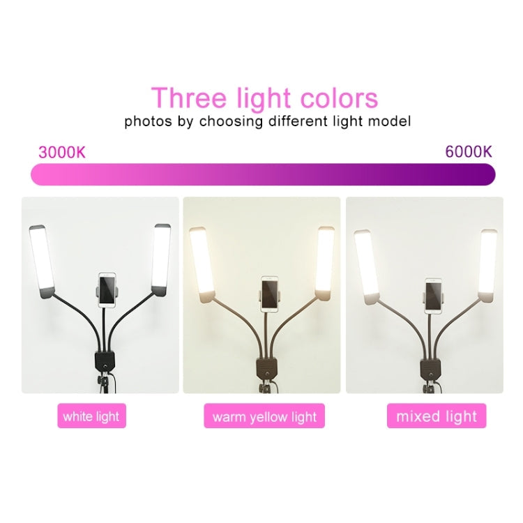 RK39 Portable Tri-color Adjustable Brightness Double Arms Fill Light with Phone Clip(Black) Eurekaonline