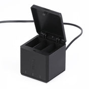RUIGPRO USB Triple Batteries Housing Charger Box with Cable & Indicator Light for GoPro HERO9 Black / HERO10 Black(Black) Eurekaonline