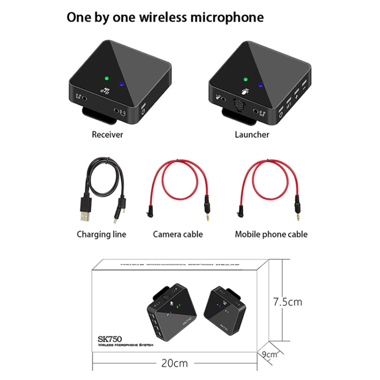 SK750 Type-C Charging One for One Wireless Lavalier Mini Microphone(Black) Eurekaonline