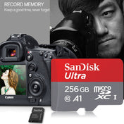 SanDisk A1 Monitoring Recorder SD Card High Speed Mobile Phone TF Card Memory Card, Capacity: 256GB-100M/S Eurekaonline