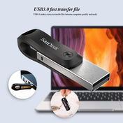 SanDisk High-Speed USB3.0 Computer USB Flash Drive, Capacity: 128GB Eurekaonline