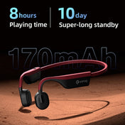Sanag A9S Bone Conduction Bluetooth 5.1 HiFi Sports Earphone (Red Black) Eurekaonline