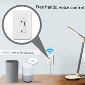 Smart Wall Socket 120 Type WIFI Remote Control Voice Control With USB Socket, Model:American Wall Socket Eurekaonline