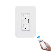 Smart Wall Socket 120 Type WIFI Remote Control Voice Control With USB Socket, Model:American Wall Socket Eurekaonline