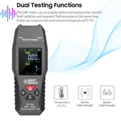 SmartSensor AS1393 Handheld Electromagnetic Radiation Detector(Black) Eurekaonline