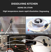Steam Cleaner High Temperature Sterilization Cleaning Machine with 1L Water Tank 110V US Plug(White) Eurekaonline