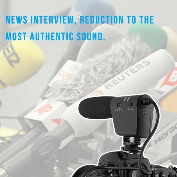 TAKSTAR SGC-598 Professional Photography Interview Dedicated Microphone for DSLR & DV Camcorder Eurekaonline