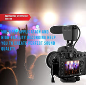 TAKSTAR SGC-598 Professional Photography Interview Dedicated Microphone for DSLR & DV Camcorder Eurekaonline