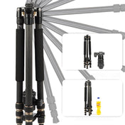 TRIOPO 853 Adjustable Portable Carbon Fiber Tripod with D2-A Ball Head for SLR Camera Eurekaonline