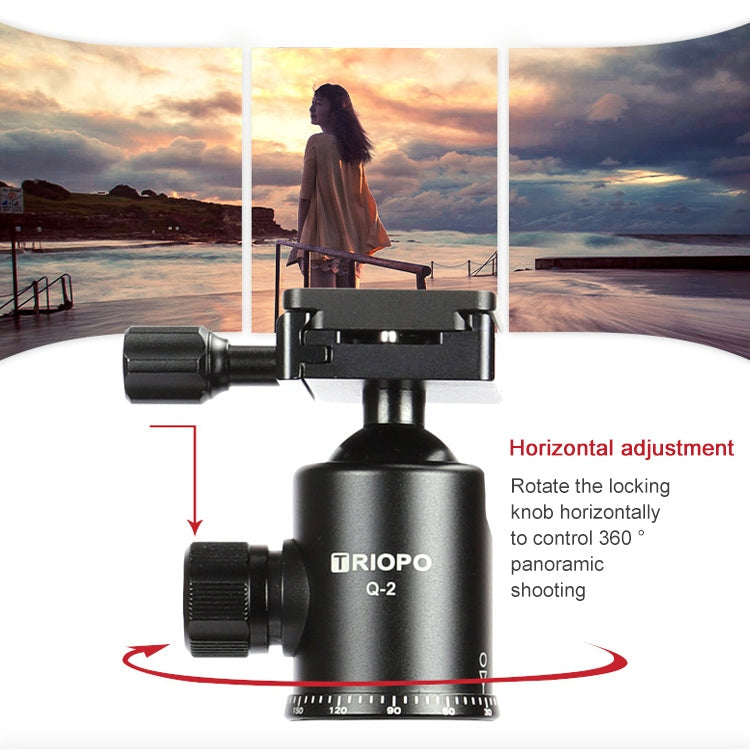 TRIOPO 888 Adjustable Portable Carbon Fiber Tripod with Q-2 Ball Head for SLR Camera, Pipe diameter: 28cm Eurekaonline