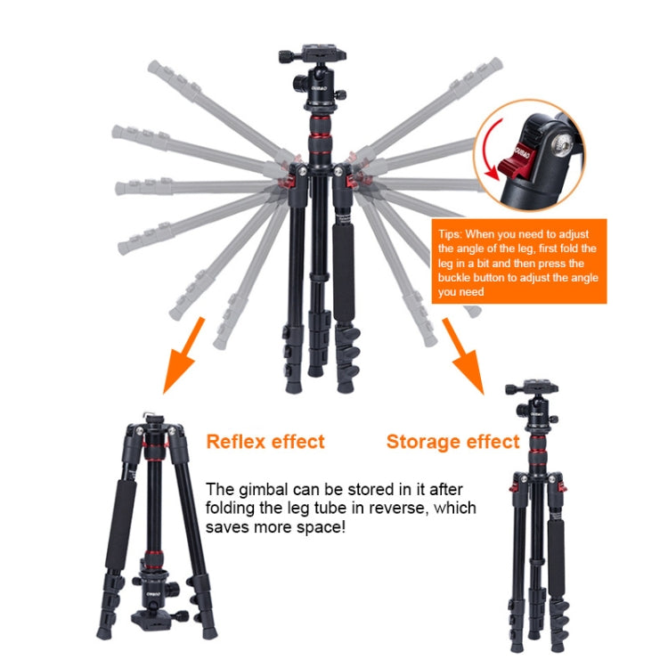 TRIOPO K2508S+B1S Adjustable Portable  Aluminum Alloy Tripod with Ball Head for SLR Camera(Black) Eurekaonline