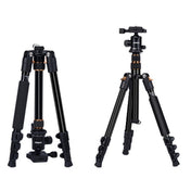 TRIOPO K2508S+B1S Adjustable Portable  Aluminum Alloy Tripod with Ball Head for SLR Camera(Gold) Eurekaonline