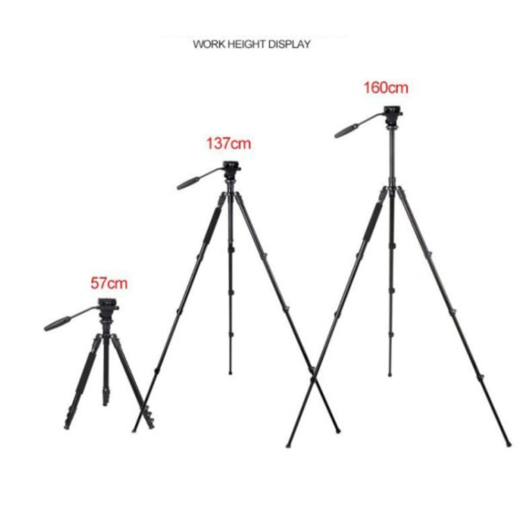 TRIOPO K2808 Aluminum Tripod Mount with HY-350 Heavy Duty Damping Head (Black) Eurekaonline